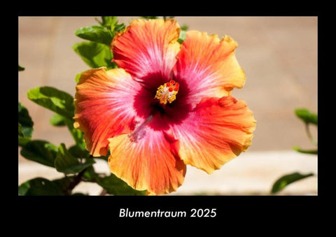 Blumentraum 2025 Fotokalender DIN A3