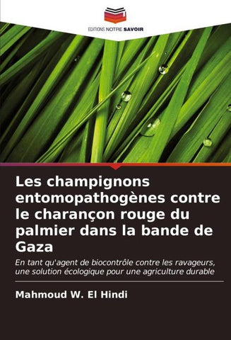 Les champignons entomopathogènes contre le charançon rouge du palmier dans la bande de Gaza