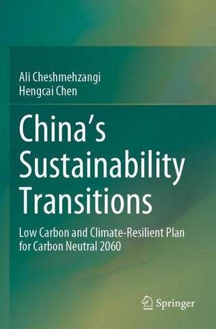 China's Sustainability Transitions