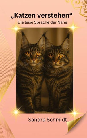 Katzen verstehen