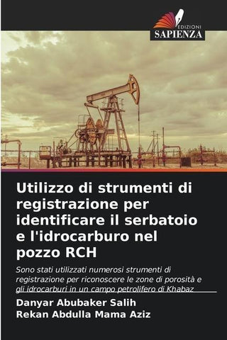 Utilizzo di strumenti di registrazione per identificare il serbatoio e l'idrocarburo nel pozzo RCH