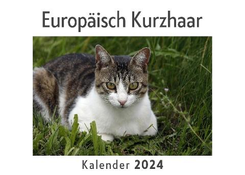 Europäisch Kurzhaar (Wandkalender 2024, Kalender DIN A4 quer, Monatskalender im Querformat mit Kalendarium, Das perfekte Geschenk)