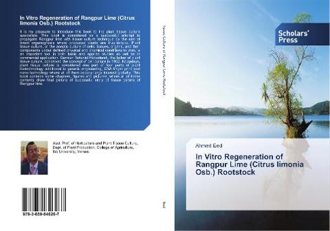 In Vitro Regeneration of Rangpur Lime (Citrus limonia Osb.) Rootstock
