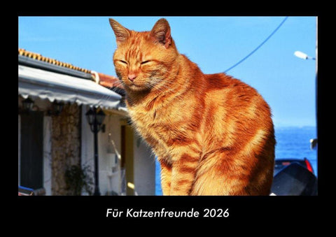 Für Katzenfreunde 2026 Fotokalender DIN A3