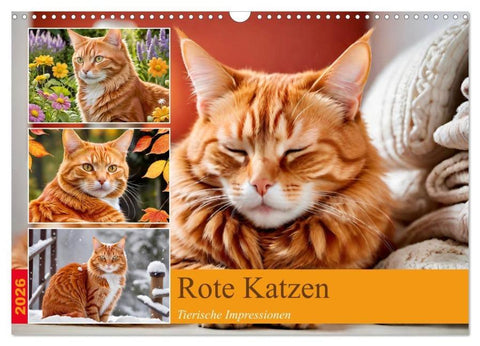 Rote Katzen (Wandkalender 2026 DIN A3 quer), CALVENDO Monatskalender