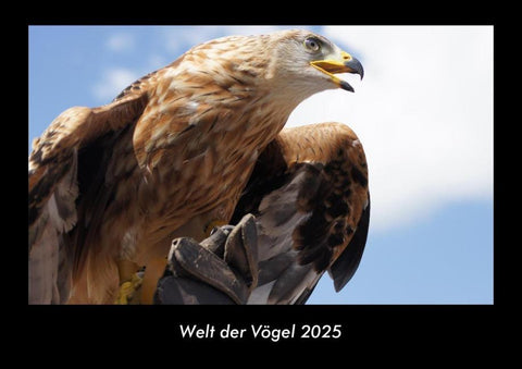 Welt der Vögel 2025 Fotokalender DIN A3