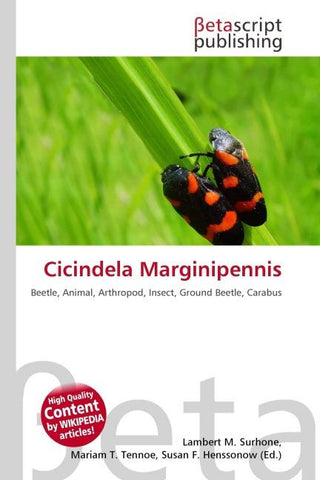 Cicindela Marginipennis