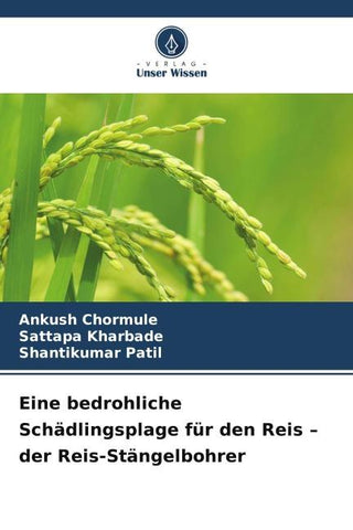 Eine bedrohliche Schädlingsplage für den Reis - der Reis-Stängelbohrer