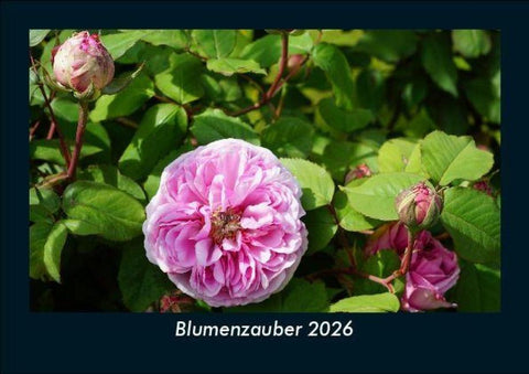 Blumenzauber 2026 Fotokalender DIN A5