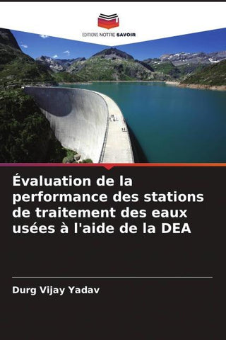 Évaluation de la performance des stations de traitement des eaux usées à l'aide de la DEA