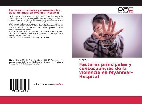 Factores principales y consecuencias de la violencia en Myanmar-Hospital