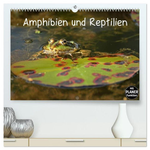 Amphibien und Reptilien (hochwertiger Premium Wandkalender 2026 DIN A2 quer), Kunstdruck in Hochglanz