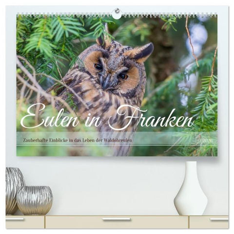 Eulen in Franken (hochwertiger Premium Wandkalender 2026 DIN A2 quer), Kunstdruck in Hochglanz
