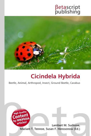Cicindela Hybrida