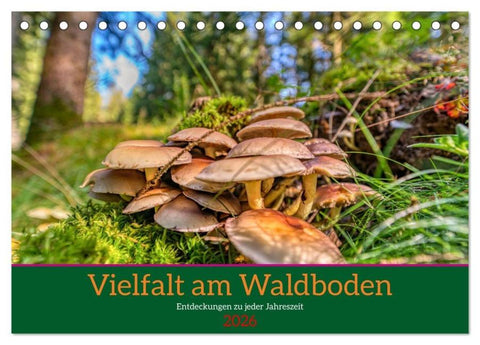 Vielfalt am Waldboden (Tischkalender 2026 DIN A5 quer), CALVENDO Monatskalender