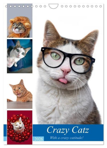 Crazy Catz. (Wandkalender 2026 DIN A4 hoch), CALVENDO Monatskalender