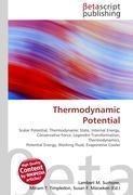 Thermodynamic Potential