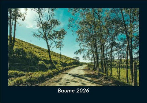 Bäume 2026 Fotokalender DIN A5
