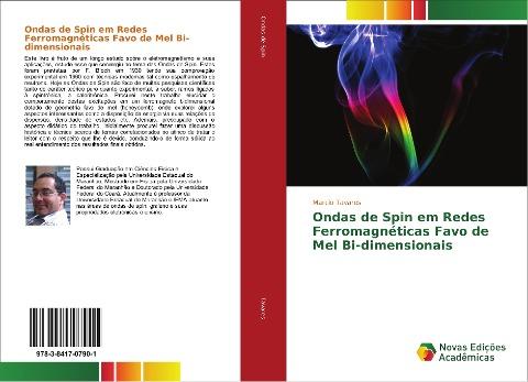Ondas de Spin em Redes Ferromagnéticas Favo de Mel Bi-dimensionais