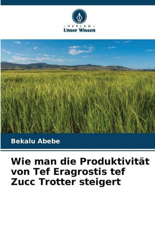 Wie man die Produktivität von Tef Eragrostis tef Zucc Trotter steigert