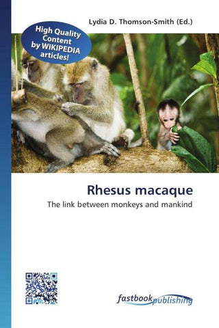 Rhesus macaque