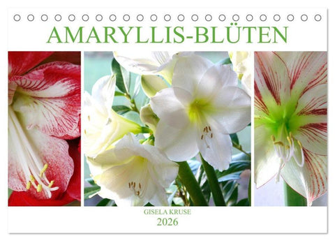 Amaryllis-Blüten (Tischkalender 2026 DIN A5 quer), CALVENDO Monatskalender