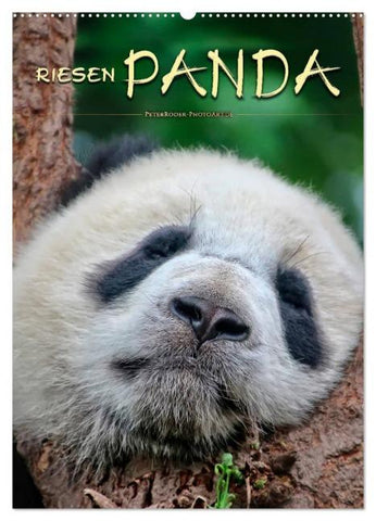 Riesenpanda (Wandkalender 2026 DIN A2 hoch), CALVENDO Monatskalender