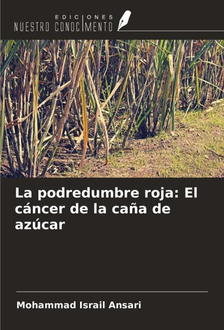 La podredumbre roja: El cáncer de la caña de azúcar