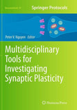 Multidisciplinary Tools for Investigating Synaptic Plasticity