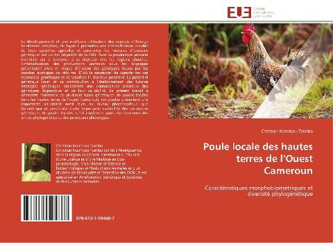 Poule locale des hautes terres de l'Ouest Cameroun