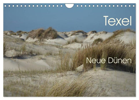Texel. Neue Dünen (Wandkalender 2026 DIN A4 quer), CALVENDO Monatskalender