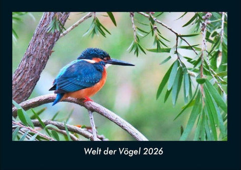 Welt der Vögel 2026 Fotokalender DIN A4