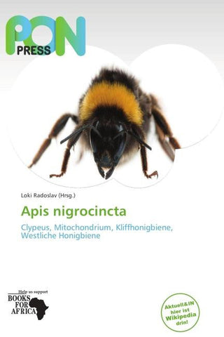 Apis nigrocincta