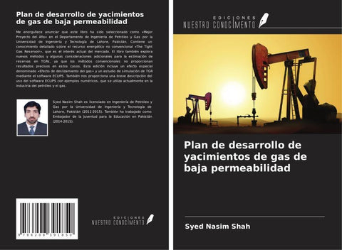 Plan de desarrollo de yacimientos de gas de baja permeabilidad