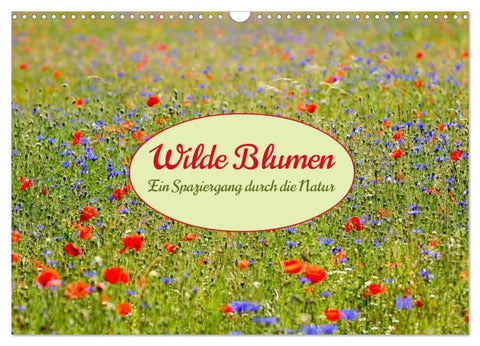 Wilde Blumen - ein Spaziergang durch die Natur (Wandkalender 2026 DIN A3 quer), CALVENDO Monatskalender