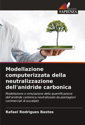 Modellazione computerizzata della neutralizzazione dell'anidride carbonica
