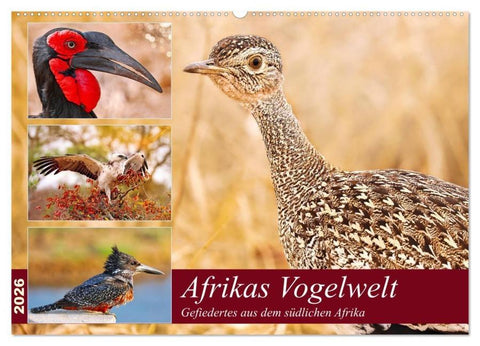 Afrikas Vogelwelt 2026 (Wandkalender 2026 DIN A2 quer), CALVENDO Monatskalender