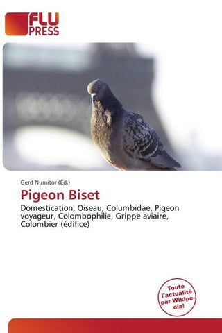 Pigeon Biset