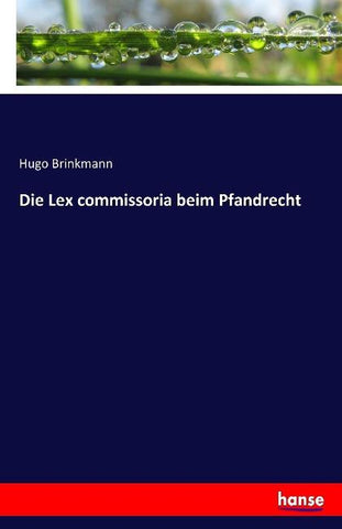 Die Lex commissoria beim Pfandrecht