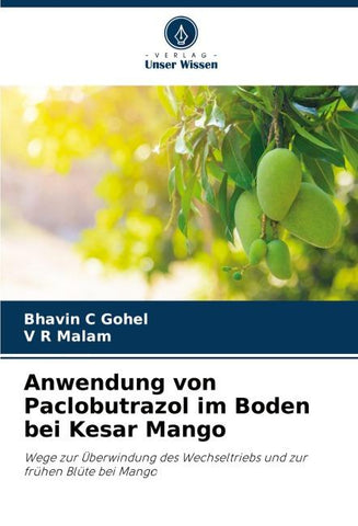 Anwendung von Paclobutrazol im Boden bei Kesar Mango