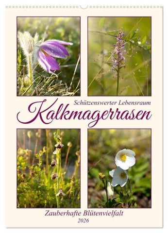 Kalkmagerrasen (Wandkalender 2026 DIN A2 hoch), CALVENDO Monatskalender