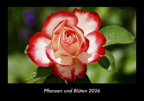 Pflanzen und Blüten 2026 Fotokalender DIN A3