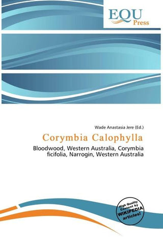 Corymbia Calophylla