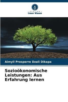 Sozioökonomische Leistungen: Aus Erfahrung lernen