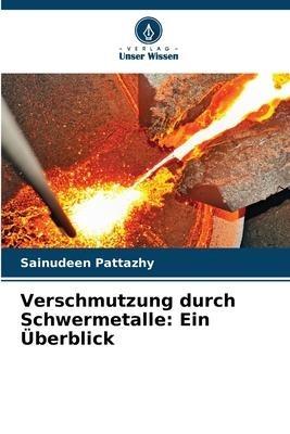 Verschmutzung durch Schwermetalle: Ein Überblick