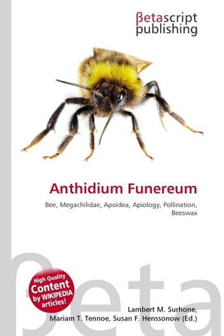 Anthidium Funereum