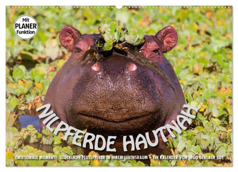 Emotionale Momente: Nilpferde hautnah (Wandkalender 2026 DIN A2 quer), CALVENDO Monatskalender