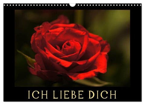 Ich liebe Dich (Wandkalender 2026 DIN A3 quer), CALVENDO Monatskalender