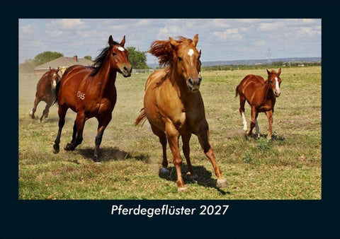 Pferdegeflüster 2027 Fotokalender DIN A5