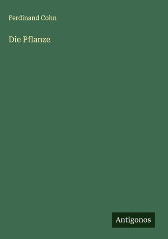 Die Pflanze
